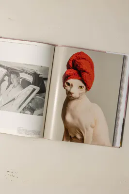 BØKER New Mags Bok - The Art of Kinfolk